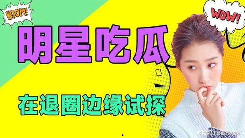 娱乐圈的吃瓜小说在线阅读